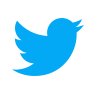 Twitter logo icon